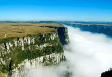 Campos de Cima da Serra: Vinhos de Altitude e Frescor no Sul do Brasil