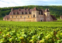 Explore as Regiões Vinícolas da França