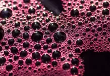 Fermentação Malolática: A transformação silenciosa que molda o vinho