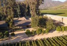 Viña Neyen de Apalta