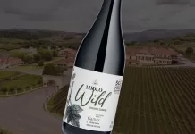 Miolo Wild Gamay 2025