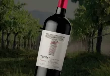 Tesis de Primus Carménère 2022